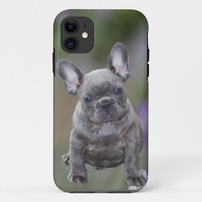 Französische Bulldoggen IPhone 11  Pad Hülle  (Rückseite)