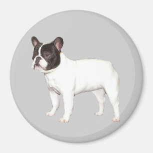 Französische Bulldoggen-Magnet Magnet