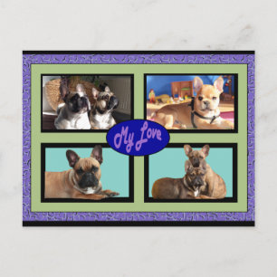 Französische Bulldoggen My Love French Bulldog Postkarte