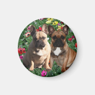 Französische Bulldoggen Ostern French Bulldog Magnet