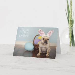 Französische Bulldoggen-Ostern-Karte! Feiertagskarte