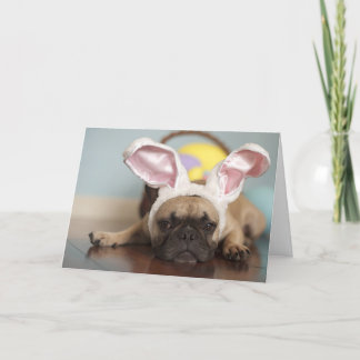 Französische Bulldoggen-Ostern-Karte! Feiertagskarte