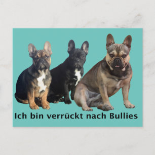 Französische Bulldoggen Postkarte