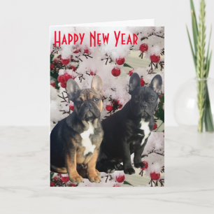 Französische Bulldoggen Postkarte Happy New Year