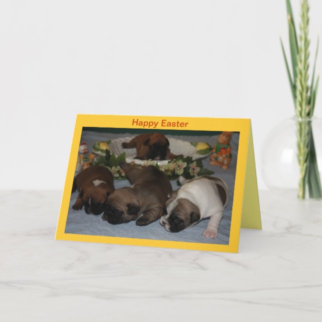 Französische Bulldoggen Postkarte Ostern (Vorderseite)