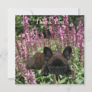 Französische Bulldoggen Postkarte Thank You
