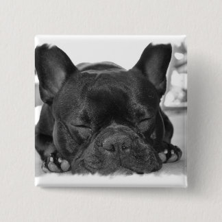 Französische Bulldoggen-Quadrat-Button Button