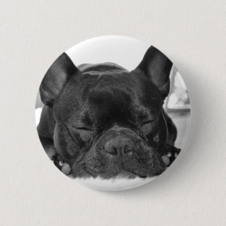 Französische Bulldoggen-runder Knopf Button