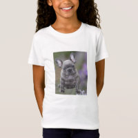 Französische Bulldoggen Shirt