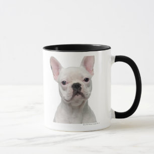 Französische Bulldoggen-Welpe (5 Monate alte) Tasse