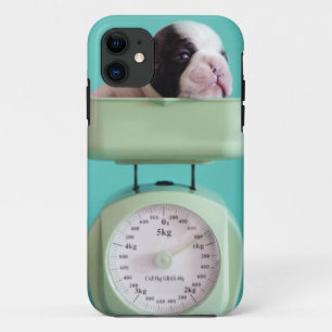 Französische Bulldoggen-Welpe Case-Mate iPhone Hülle