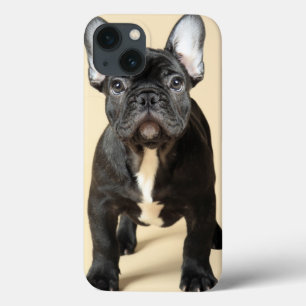 Französische Bulldoggen-Welpe Case-Mate iPhone Hülle