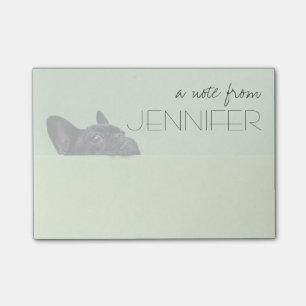 Französische Bulldoggen-Welpe, der über Wand Post-it Klebezettel