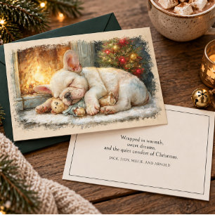 Französische Bulldoggen-Welpe schläft Weihnachten
