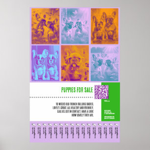 Französische Bulldoggen Welpen für den Verkauf rie Poster