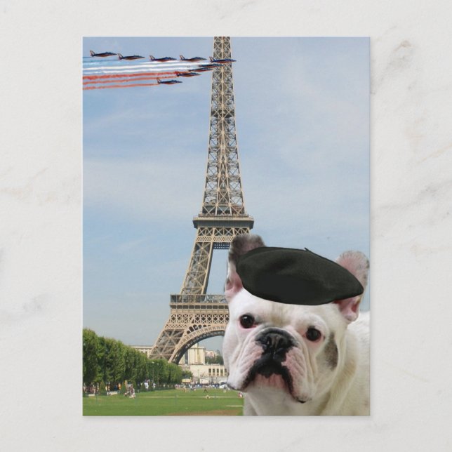 Französische Bulldogin-Postkarte in Paris Postkarte (Vorderseite)