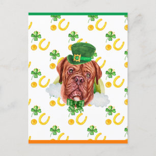 Französische Dogge Shamrock St. Patricks Day Feiertagspostkarte