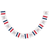 Französische Flagge 14 Juli Quatorze Juillet Basti