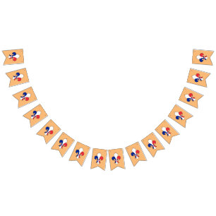 Französische Flagge & Fleur De Lys Party Frankreic