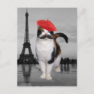 Französische Katze in Paris Postkarte