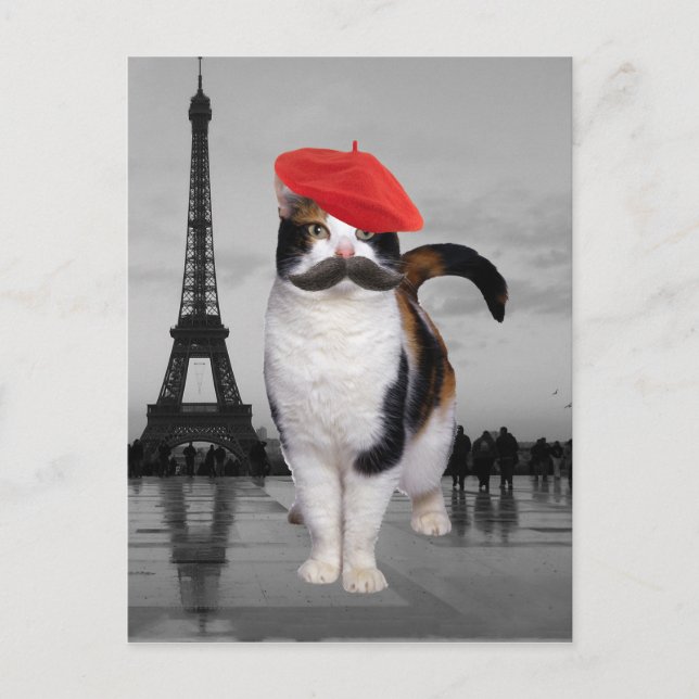 Französische Katze in Paris Postkarte (Vorderseite)