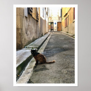 Französische Katze Poster