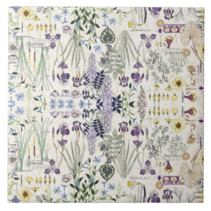 Französische Kunst Nouveau botanische Fliese