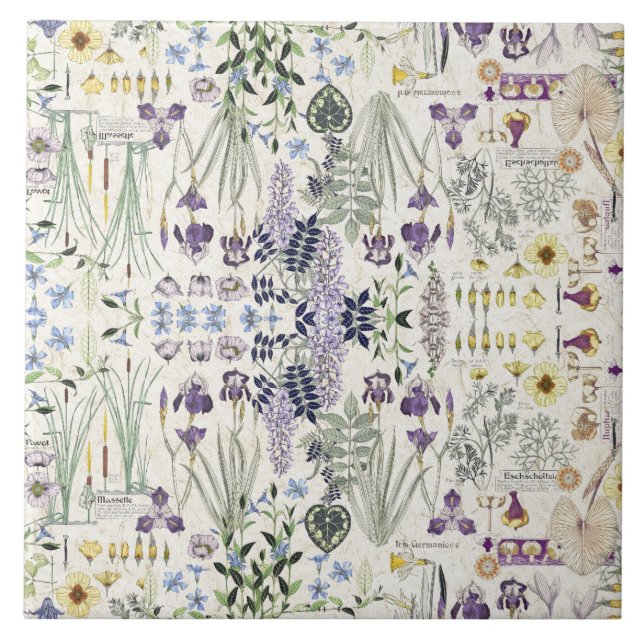 Französische Kunst Nouveau botanische Fliese (Vorderseite)