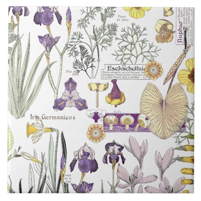 Französische Kunst Nouveau Vintage Fliese (Vorderseite)