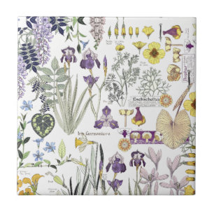 Französische Kunst Nouveau Vintage Fliese