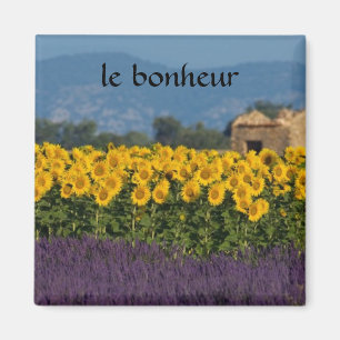 französische Landschaft Magnet