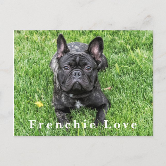 Französische Liebe Französische Bulldog Foto Postc Postkarte (Vorderseite)