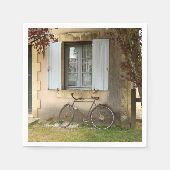Französische Papiertücher für das Wohnzimmer Serviette (Vorderseite)