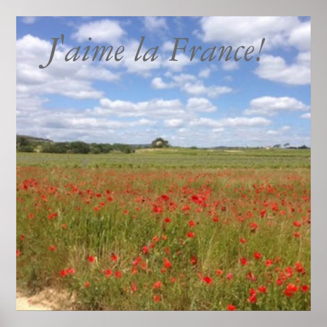 Französische Poppies in Südfrankreich Poster (Vorne)