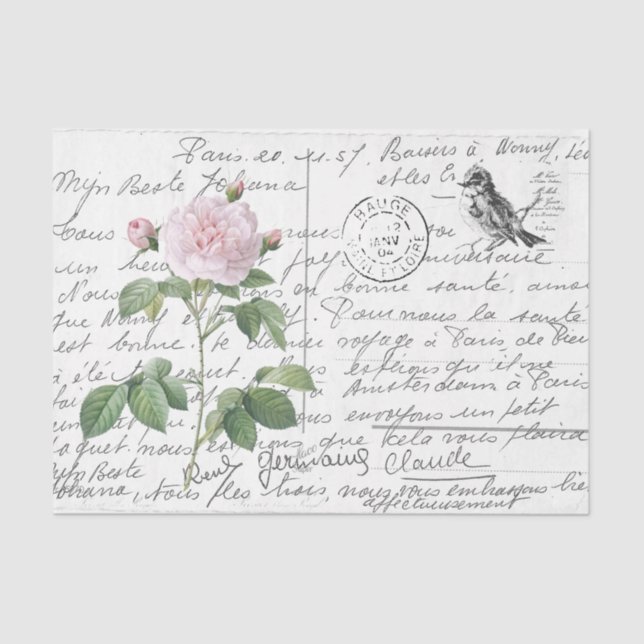 Französische Rose Vintag Blush Bird Postcard Seidenpapier (Vorderseite)