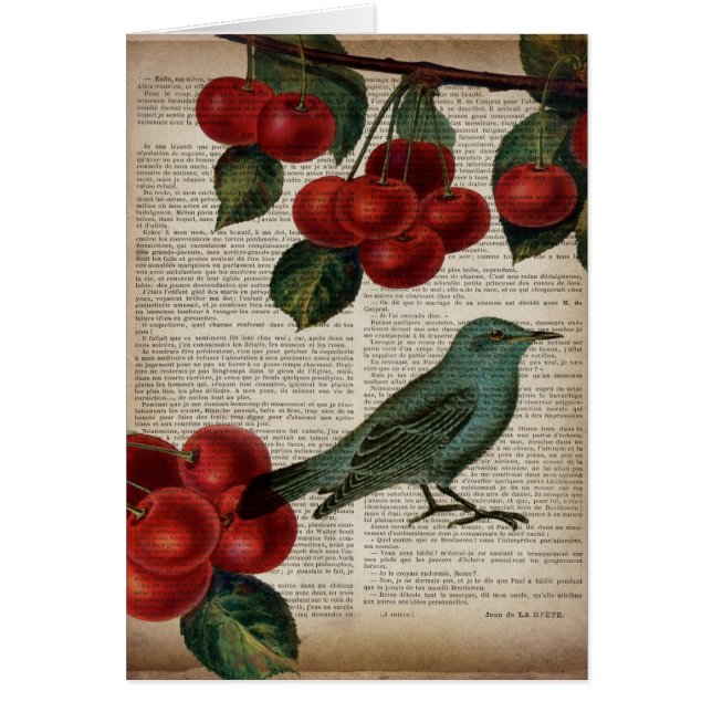 Französische Rotharbe Retro-Botanische Rote Kirsch (Vorne)