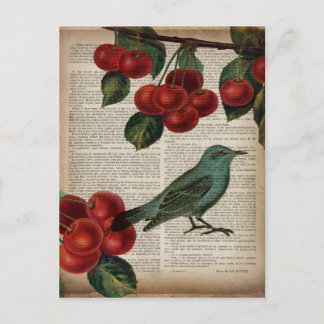 Französische Rotharbe Retro-Botanische Rote Kirsch Postkarte