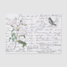 Französische Schreibschrift Weiße Rose Vogel Vinta