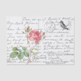 Französische Schrift Rosa Cumberland Rose Bird Pos Seidenpapier