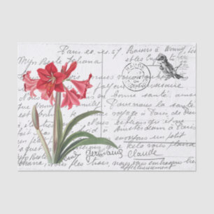 Französische Schrift Vintage Amaryllis Vogel Postk Seidenpapier