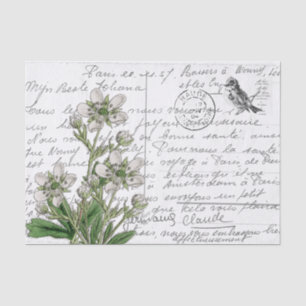 Französische Schrift Vintage Weiße Blume Vogel Pos Seidenpapier