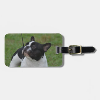 Französische Schwarzweiss-Bulldogge Gepäckanhänger