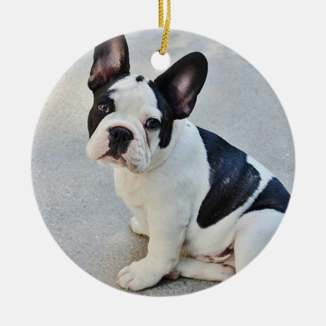 Französische Schwarzweiss-Bulldogge Keramikornament (Vorne)