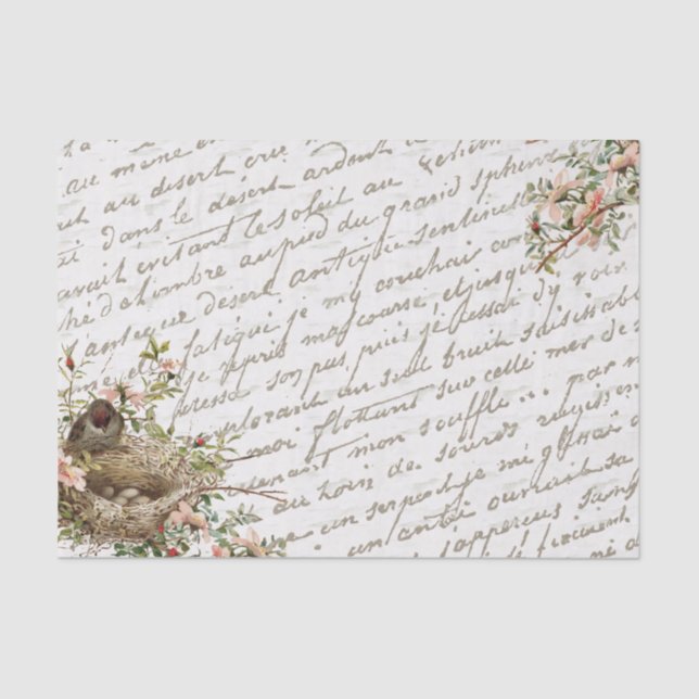 Französische Script-Gold-Bird-Nest-Blume Vintag Seidenpapier (Vorderseite)