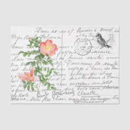 Französische Script Vintag Briar Rose Bird Postcar Seidenpapier