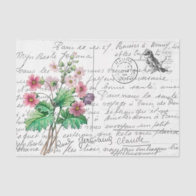 Französische Script Vintag Primrose Bird Postcard Seidenpapier (Vorderseite)