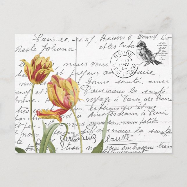 Französische Script Vintag Tulip Bird Postkarte (Vorderseite)