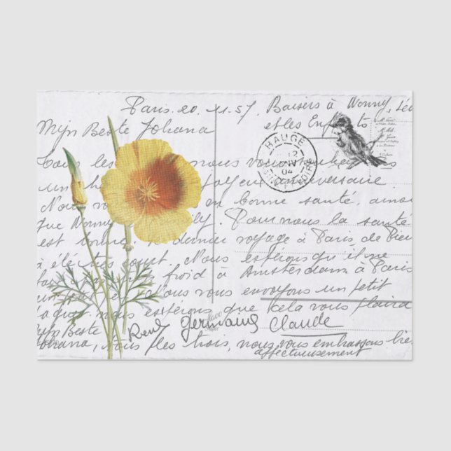 Französische Script Vintag Yellow Poppy Bird Postk Seidenpapier (Vorderseite)