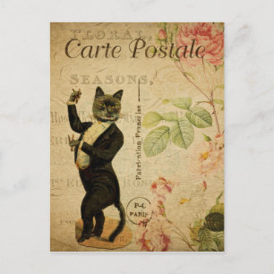 Französische Tuxedo-Katze Postkarte