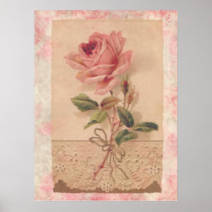 Französische Viktorianische Rosa Rose Poster